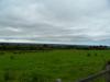 Landschaft nach Wexford.