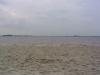 Schildmeer. wow, super Strand