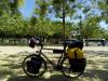 Mein Rad im Park (Parc du Champ de Mars - vor dem Eifelturm) 